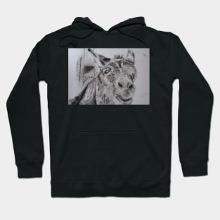 Seaside Donkey Hoodie